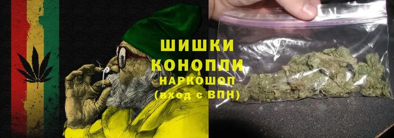 Конопля OG Kush  Кедровый 